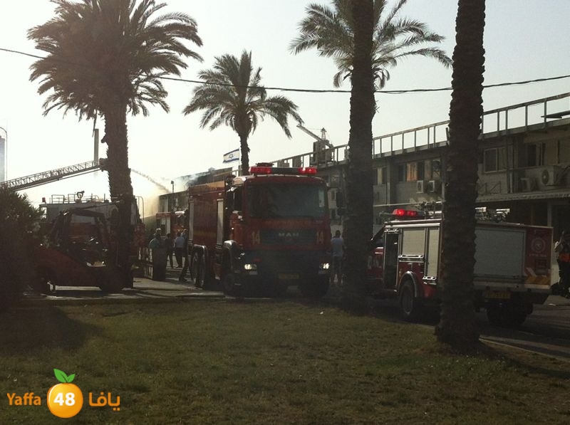 fireludkartoonmasna34 (66).JPG